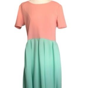 NWOT Pink and Teal LuLaRoe Amelia Dress.  Size large.